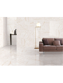 ANKA SERAMİK SARE 60X120