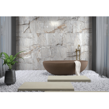 ANKA SERAMİK TORTUGA 60X120